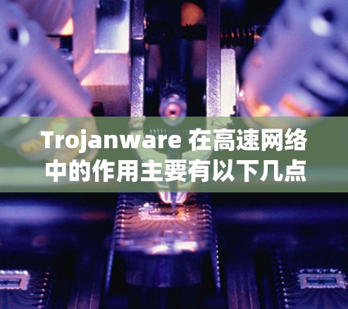 Trojanware 在高速网络中的作用主要有以下几点