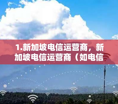 1.新加坡电信运营商，新加坡电信运营商（如电信和移动）通常提供类似的VPN服务。这些运营商在新加坡的分站可能会提供本地化的VPN服务