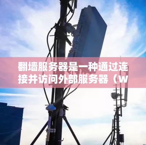 翻墙服务器是一种通过连接并访问外部服务器(WWW服务器)的内部服务器,用于实现资源共享。以下是详细步骤