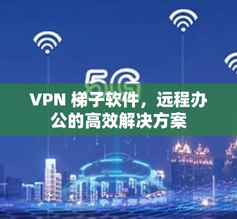 VPN 梯子软件,远程办公的高效解决方案