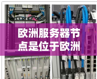 欧洲服务器节点是位于欧洲地区的服务器系统,它们在多个领域发挥着关键作用,如互联网服务、云计算、数据存储等。以下是对欧洲服务器节点的详细总结