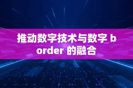 推动数字技术与数字 border 的融合