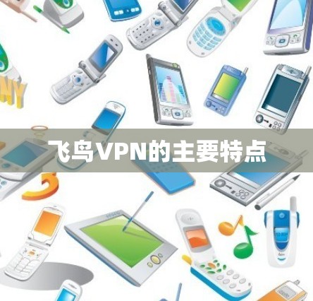 飞鸟VPN的主要特点