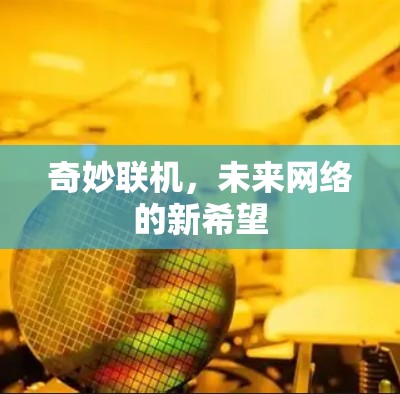 奇妙联机,未来网络的新希望