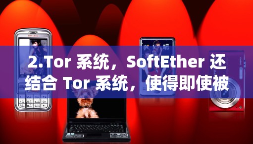 2.Tor 系统,SoftEther 还结合 Tor 系统,使得即使被 Tor 安全包检测到,也无法通过 Tor 系统找到你的服务器