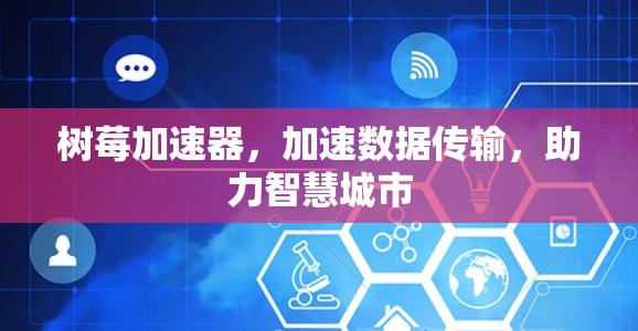 树莓加速器,加速数据传输,助力智慧城市