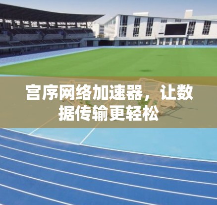 宫序网络加速器，让数据传输更轻松