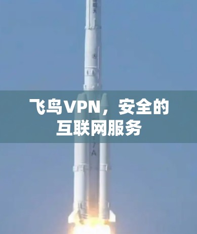 飞鸟VPN,安全的互联网服务