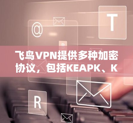 飞鸟VPN提供多种加密协议,包括KEAPK、KEAK、KEAKM等,这些协议都是公开的,您可以直接下载并安装。以下是使用飞鸟VPN的步骤