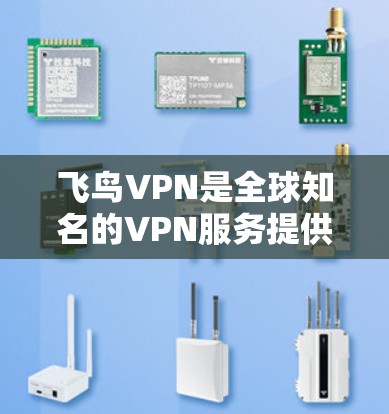 飞鸟VPN是全球知名的VPN服务提供商，提供了一系列的加密功能和安全保障。以下是关于飞鸟VPN全球节点的一些关键信息