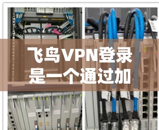 飞鸟VPN登录是一个通过加密通信连接到外部网络的服务,通常通过手机应用或下载服务直接登录。以下是一个详细的步骤指南,帮助您完成飞鸟VPN登录