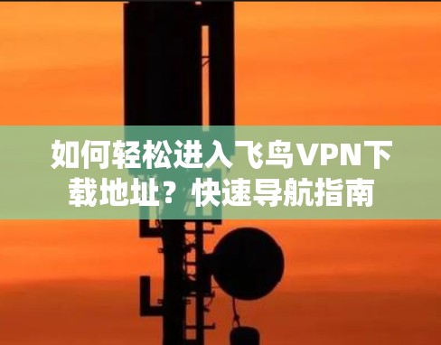 如何轻松进入飞鸟VPN下载地址?快速导航指南