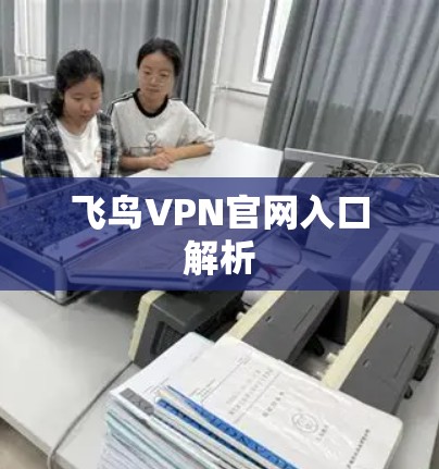 飞鸟VPN官网入口解析