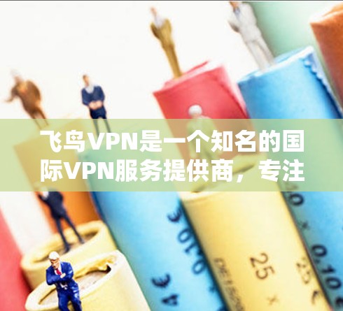 飞鸟VPN是一个知名的国际VPN服务提供商,专注于提供全球范围内的VPN服务。飞鸟VPN的全球服务器遍布全球各个地区,用户可以通过其服务器访问其他国家的互联网资源,例如美国、欧洲、东南亚等