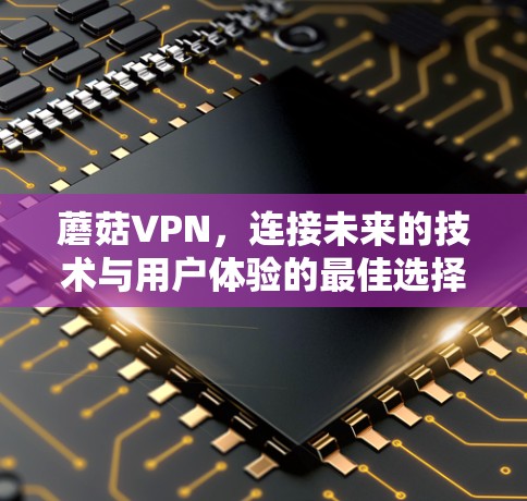 蘑菇VPN,连接未来的技术与用户体验的最佳选择