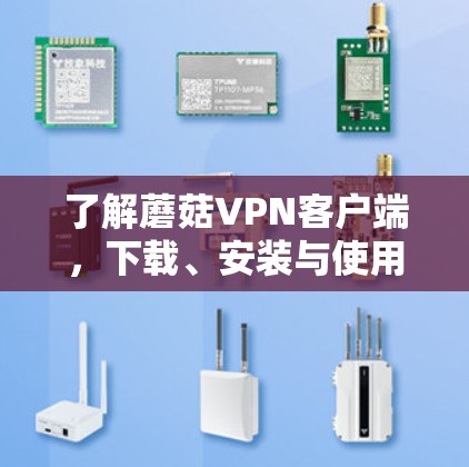 了解蘑菇VPN客户端,下载、安装与使用指南