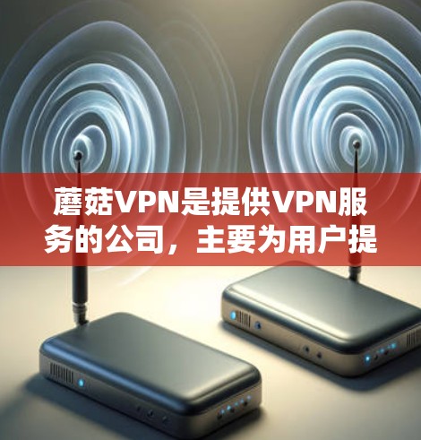 蘑菇VPN是提供VPN服务的公司，主要为用户提供在线访问互联网的便利。以下是对蘑菇VPNWindows版的详细介绍