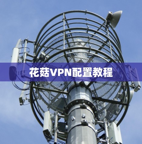 花菇VPN配置教程