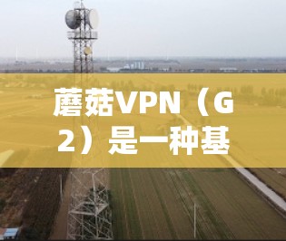 蘑菇VPN（G2）是一种基于Zero Trust协议的VPN，允许用户访问任何设备和网络，无需身份验证。以下是对蘑菇VPN节点配置的详细说明
