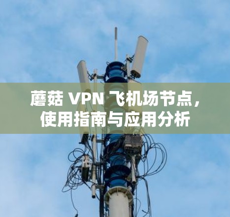 蘑菇 VPN 飞机场节点，使用指南与应用分析