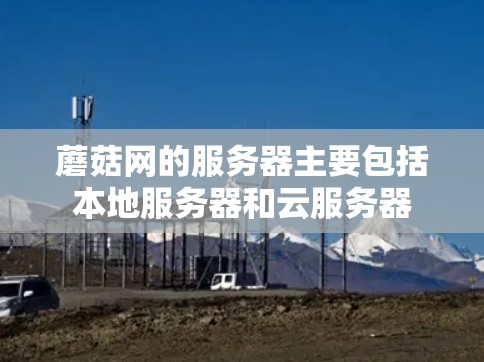 蘑菇网的服务器主要包括本地服务器和云服务器