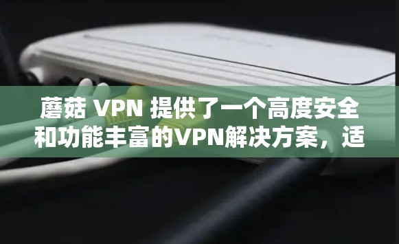 蘑菇 VPN 提供了一个高度安全和功能丰富的VPN解决方案,适合需要多设备访问和复杂安全配置的用户。以下是其关键特点和应用