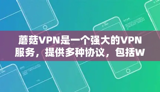 蘑菇VPN是一个强大的VPN服务,提供多种协议,包括Wi-Fi、HTTP、VPN等。如果你需要登录蘑菇VPN,通常可以通过以下几种方式