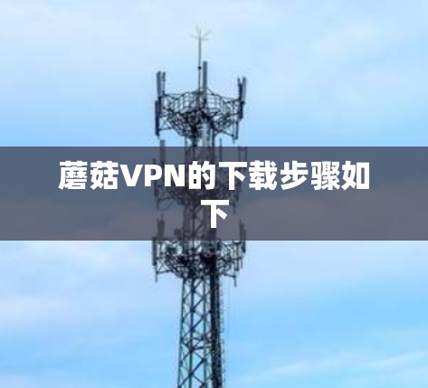 蘑菇VPN的下载步骤如下