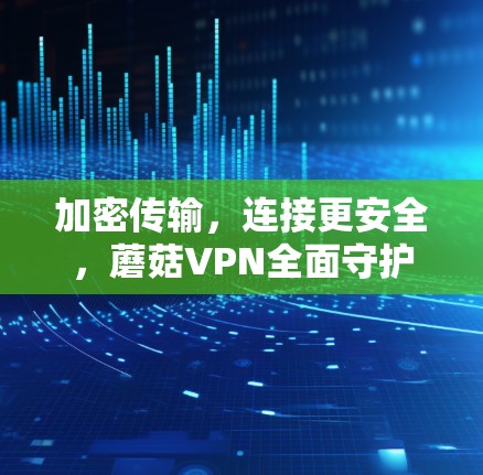加密传输，连接更安全，蘑菇VPN全面守护您的网络安全