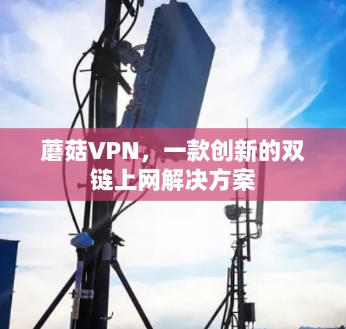 蘑菇VPN，一款创新的双链上网解决方案