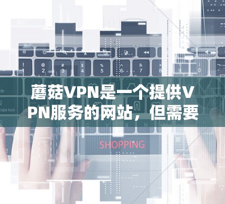 蘑菇VPN是一个提供VPN服务的网站，但需要注意的是，蘑菇VPN本身并不是真正的VPN服务提供商，它提供的是VPN连接，但可能有自己的服务器和流量管理，因此下载时需要谨慎，尤其是针对个人用户