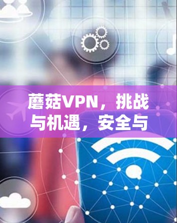 蘑菇VPN，挑战与机遇，安全与自由的完美结合