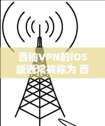 西柚VPN的iOS版通常被称为 西柚 VPN iOS 或 西柚 VPN for iOS。以下是关于这个版本的详细介绍
