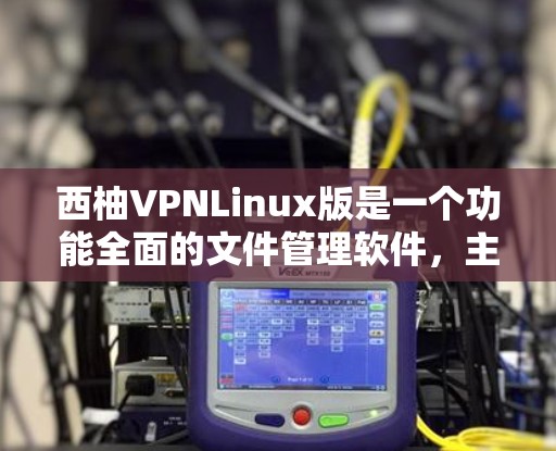 西柚VPNLinux版是一个功能全面的文件管理软件,主要用于文件管理、文件传输、文件同步、文件恢复、文件删除等多个领域。以下是关于该软件的详细信息