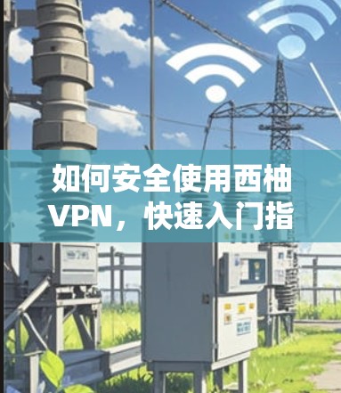 如何安全使用西柚VPN,快速入门指南