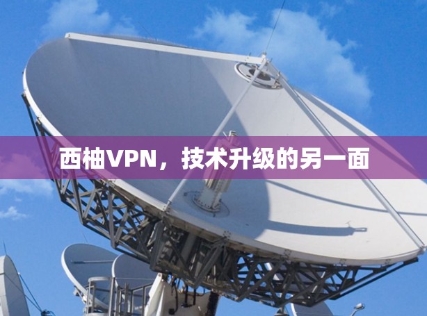 西柚VPN，技术升级的另一面