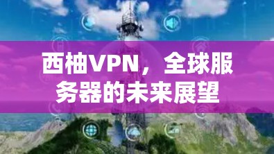 西柚VPN，全球服务器的未来展望