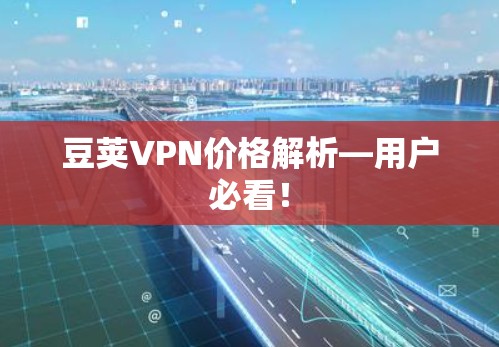 豆荚VPN价格解析—用户必看!