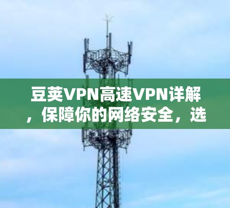 豆荚VPN高速VPN详解,保障你的网络安全,选择合适的方案很重要