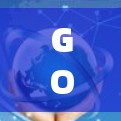 GOBOY VPN 是一个提供VPN服务的网站,用户可以通过其登录功能访问网络服务。以下是使用 GOBOY VPN 进行登录的步骤