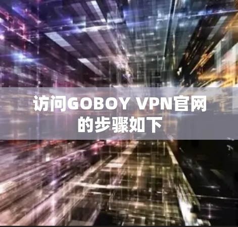 访问GOBOY VPN官网的步骤如下