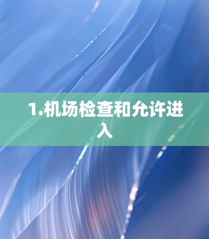1.机场检查和允许进入
