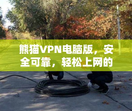 熊猫VPN电脑版，安全可靠，轻松上网的双全解