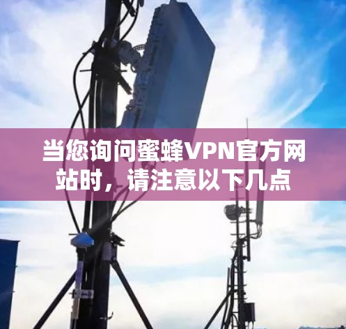 当您询问蜜蜂VPN官方网站时,请注意以下几点