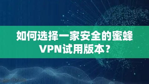如何选择一家安全的蜜蜂VPN试用版本?