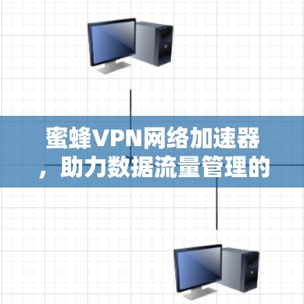 蜜蜂VPN网络加速器，助力数据流量管理的未来解决方案
