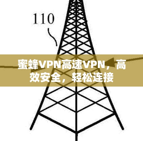 蜜蜂VPN高速VPN,高效安全,轻松连接