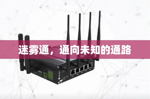 迷雾通，通向未知的通路