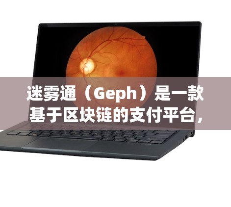 迷雾通(Geph)是一款基于区块链的支付平台,主要用于在线支付和交易。以下是关于迷雾通的一些详细信息