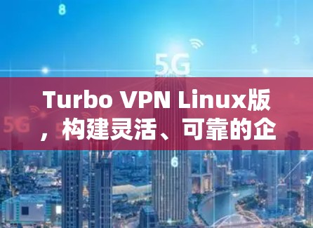 Turbo VPN Linux版，构建灵活、可靠的企业级VPN